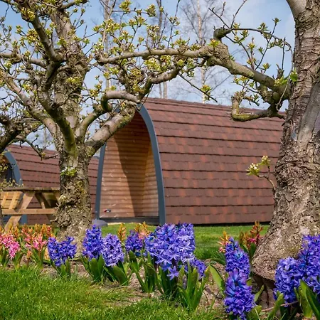 Chalet Familie Molenwaard