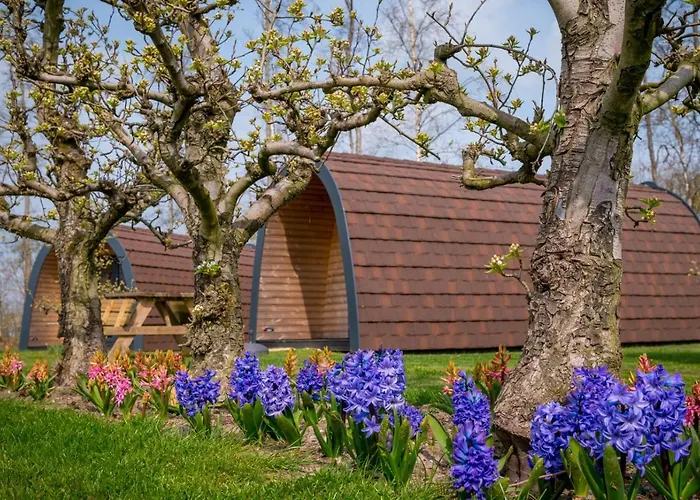 Chalet Familie Molenwaard